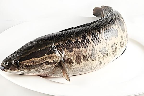 黑鱼有小刺吗，黑鱼是有小刺的