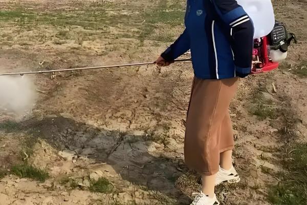 防治地下害虫的方法，以下方式均能起到防效