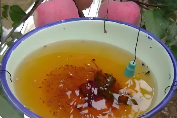 防治地下害虫的方法，以下方式均能起到防效