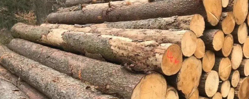 木材的种类，包括榆木、柳木等