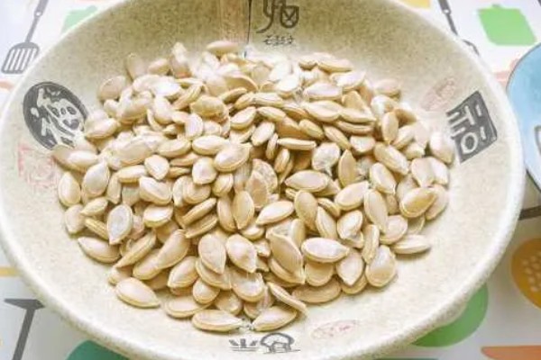 西葫芦的种植时间,一般春播为5月初