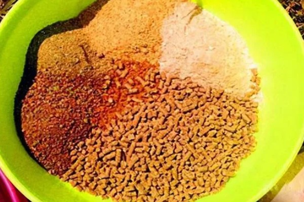 怎么用手竿钓白条鱼，从钓水皮开始逐渐向下搜索鱼层