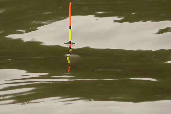 怎么用手竿钓白条鱼，从钓水皮开始逐渐向下搜索鱼层