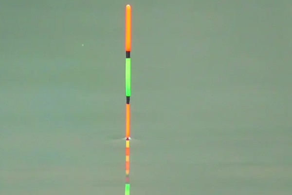 怎么用手竿钓白条鱼，从钓水皮开始逐渐向下搜索鱼层