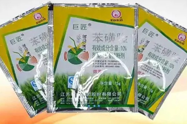 苯磺隆的防治对象，可防治各种一年生阔叶杂草