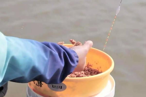 怎么用手竿钓白条鱼，从钓水皮开始逐渐向下搜索鱼层