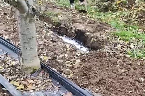 果树的嫁接方式，主要有去皮贴接、劈接等4种方法