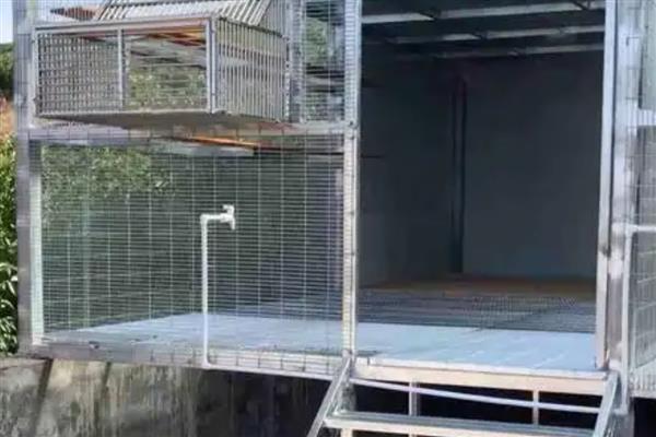 鸽子棚的搭建方式,安装铁网窗以便排气