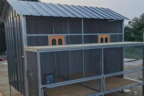 鸽子棚的搭建方式,安装铁网窗以便排气