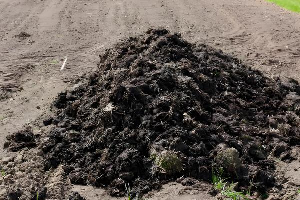 种大蒜用什么做底肥，可以用农家肥和复合肥