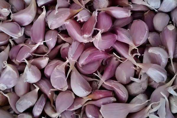 种大蒜用什么做底肥，可以用农家肥和复合肥