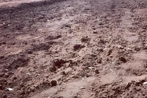 种大蒜用什么做底肥，可以用农家肥和复合肥