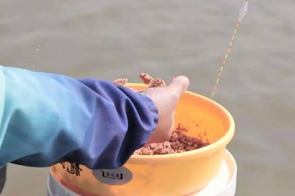 钓鱼要不要打窝,打窝对垂钓有促进效果