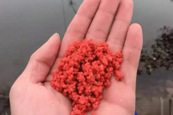 钓鱼要不要打窝,打窝对垂钓有促进效果