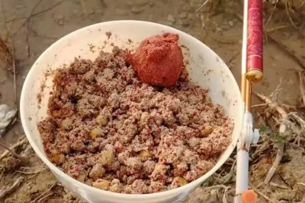 钓鱼要不要打窝,打窝对垂钓有促进效果