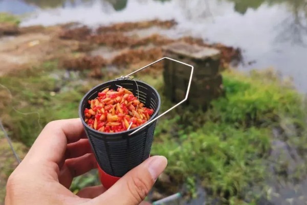 钓鱼要不要打窝,打窝对垂钓有促进效果