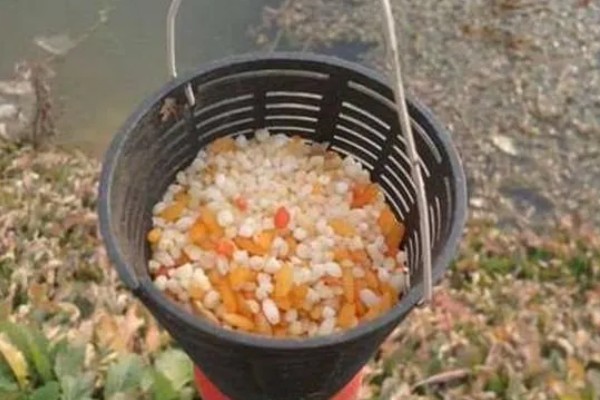 钓鱼要不要打窝,打窝对垂钓有促进效果