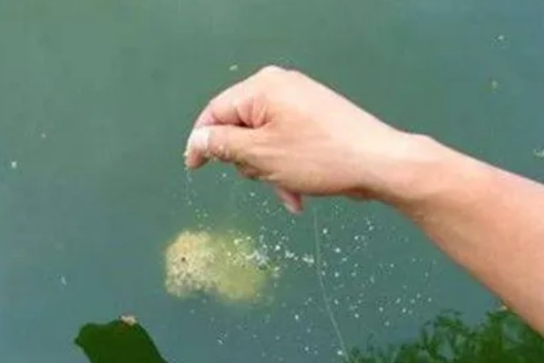 钓鱼要不要打窝,打窝对垂钓有促进效果