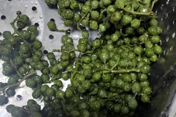 青花椒如何保存才不变色,一定要密封好