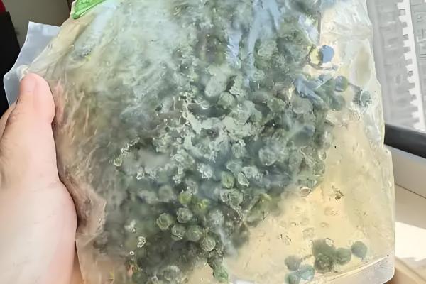 青花椒如何保存才不变色,一定要密封好