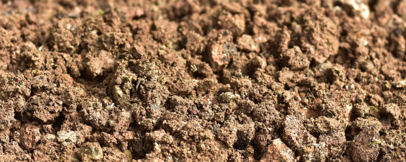 决定土壤质地的主要因素，主要因素是成土母质