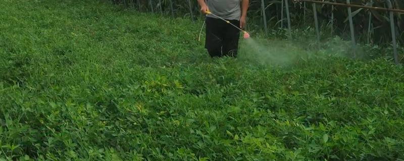植物调节剂怎么复配使用，针对作物不同使用方法也不同