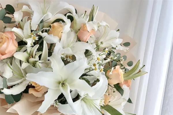 送老师送什么花合适，推荐向日葵、郁金香等