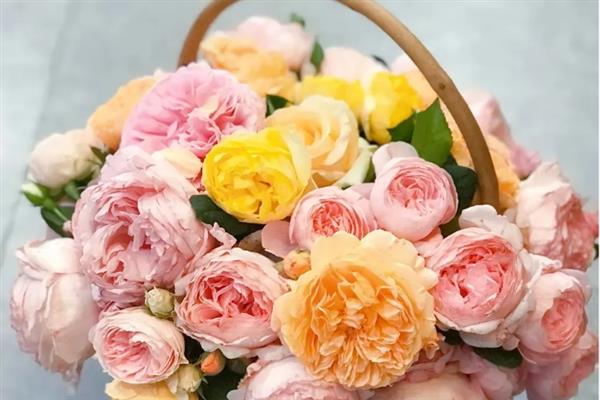 送老师送什么花合适，推荐向日葵、郁金香等