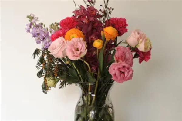 送老师送什么花合适，推荐向日葵、郁金香等