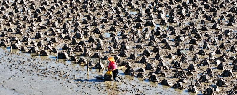 渔业养殖所需手续，要办理《中国人民共和国水域滩涂养殖证》