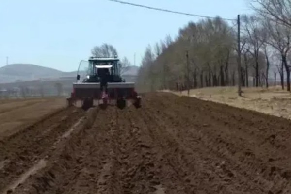 罗汉果的种植技术，种植时间一般在3-4月间