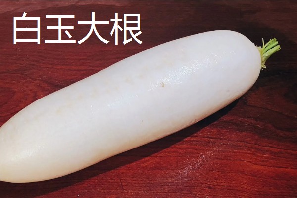 白萝卜能移栽吗,白萝卜可以移栽