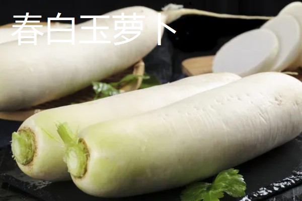 白萝卜能移栽吗,白萝卜可以移栽