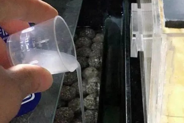 硝化菌属于哪一类,属于自养型细菌