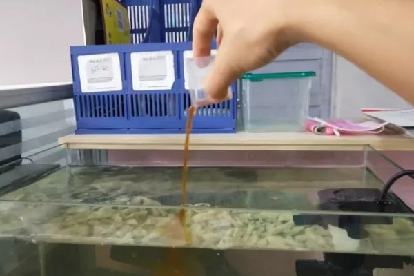 硝化菌属于哪一类,属于自养型细菌