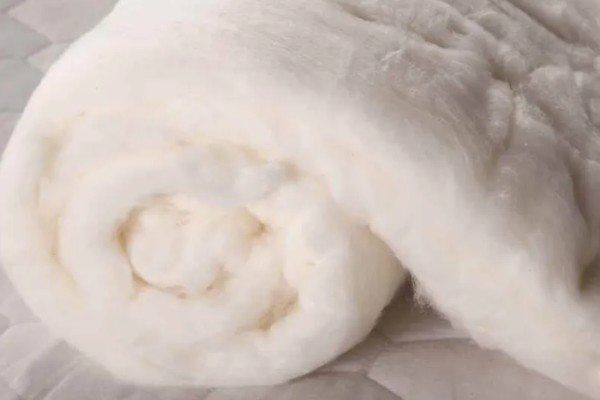 大豆棉属于什么棉花,不属于棉花