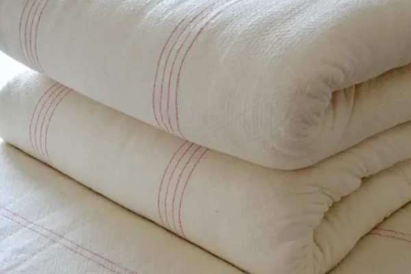 大豆棉属于什么棉花,不属于棉花