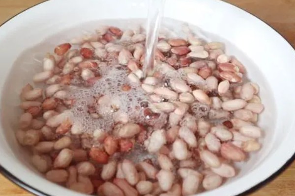 花生的高产种植技术，首先要进行浸泡催芽