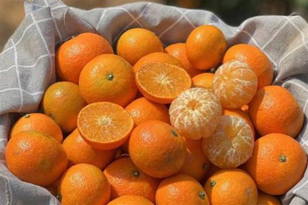 沙糖桔的产地，主要产于湖南、江西等地