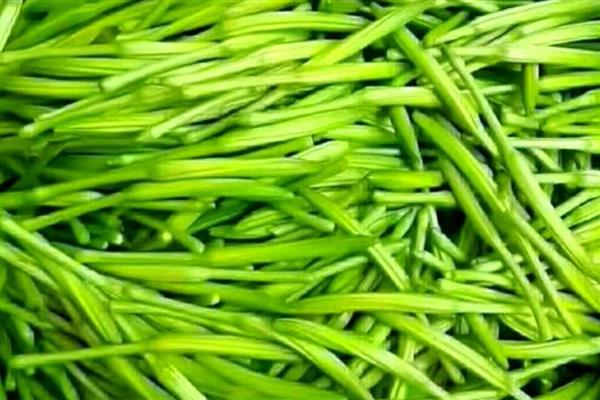 湖南祁东的特产,常见的有祁东酥脆枣、祁东草席等