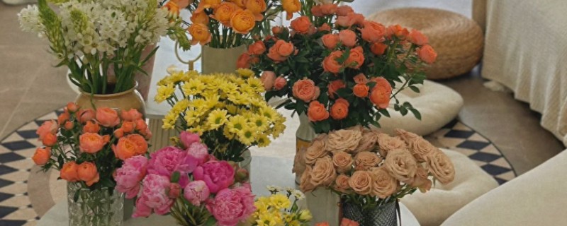 卧室养花会不会缺氧，超过2盆且花型过大会增加二氧化碳的浓度