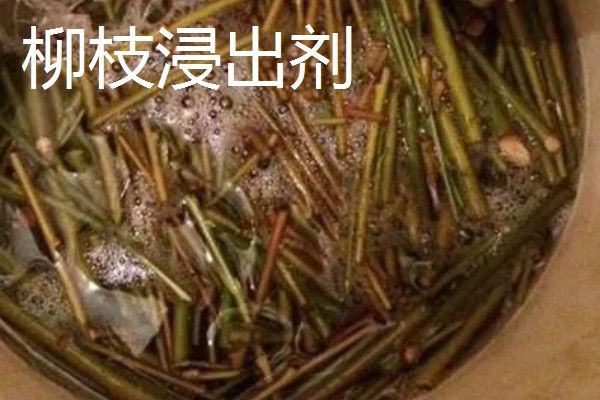 怎样自制生根剂,可以用米醋、蔗糖等制作