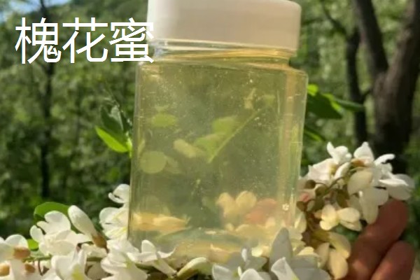 山花蜜和槐花蜜哪个更好，口感上后者更好