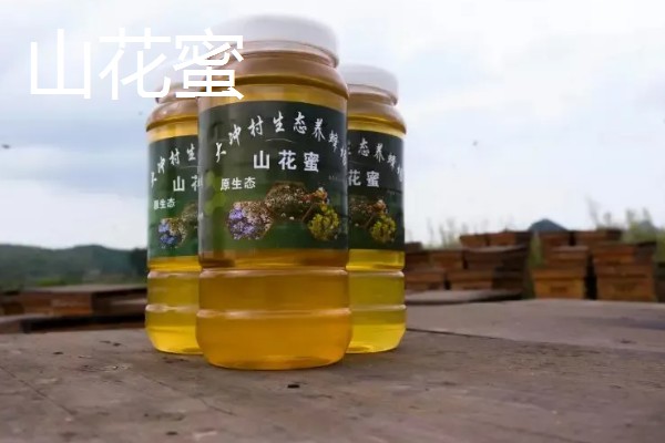 山花蜜和槐花蜜哪个更好，口感上后者更好