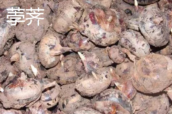 旱改水项目的意思，将旱田整改成易于耕种的水田