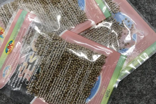 小丑鱼喂什么饲料好，可喂食人工合成的鱼饲料