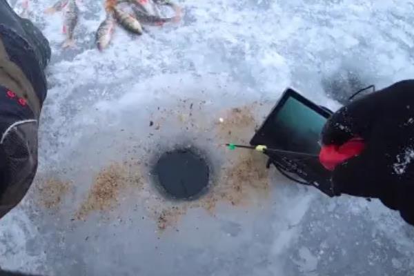 冰钓鱼线用几号,要根据鱼的体型来选