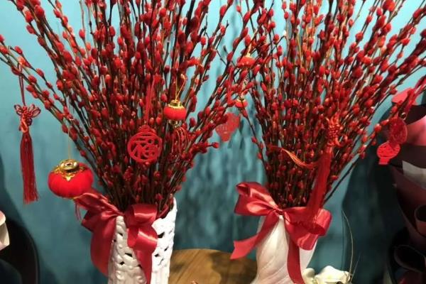 银柳要干养还是水培，可以干养也能水培