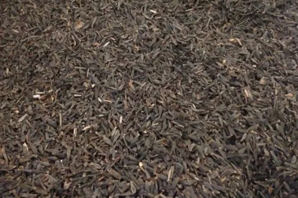 小丽花种子在哪里有卖,在花卉市场有卖