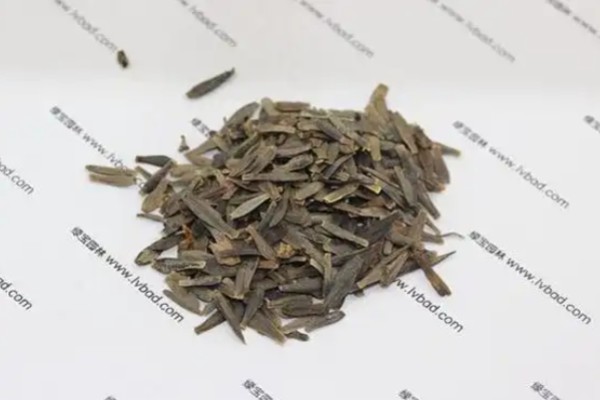 小丽花种子在哪里有卖,在花卉市场有卖